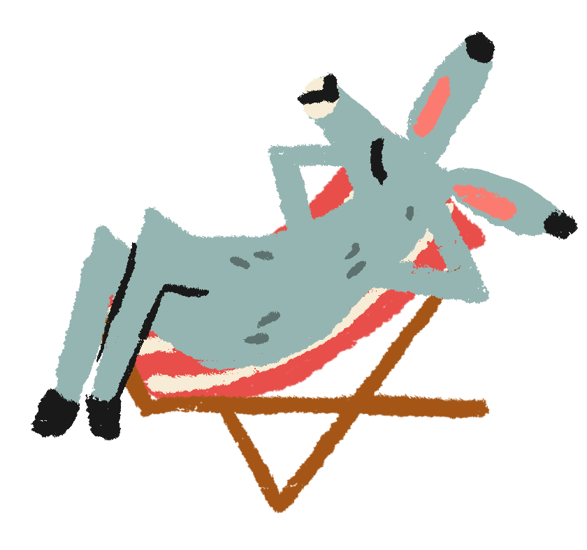 Âne dans un transat