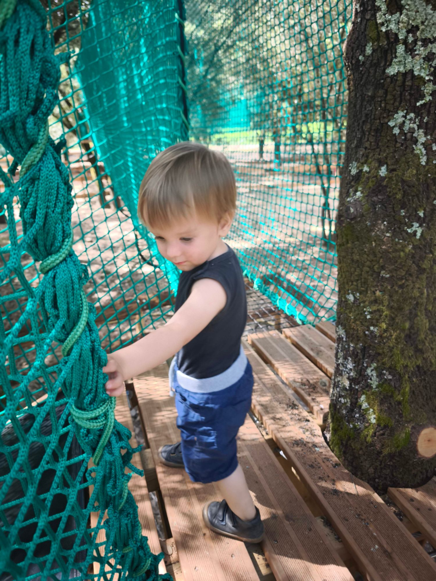 Enfant sur les filets dans les arbres de L'Attrape-Rêves