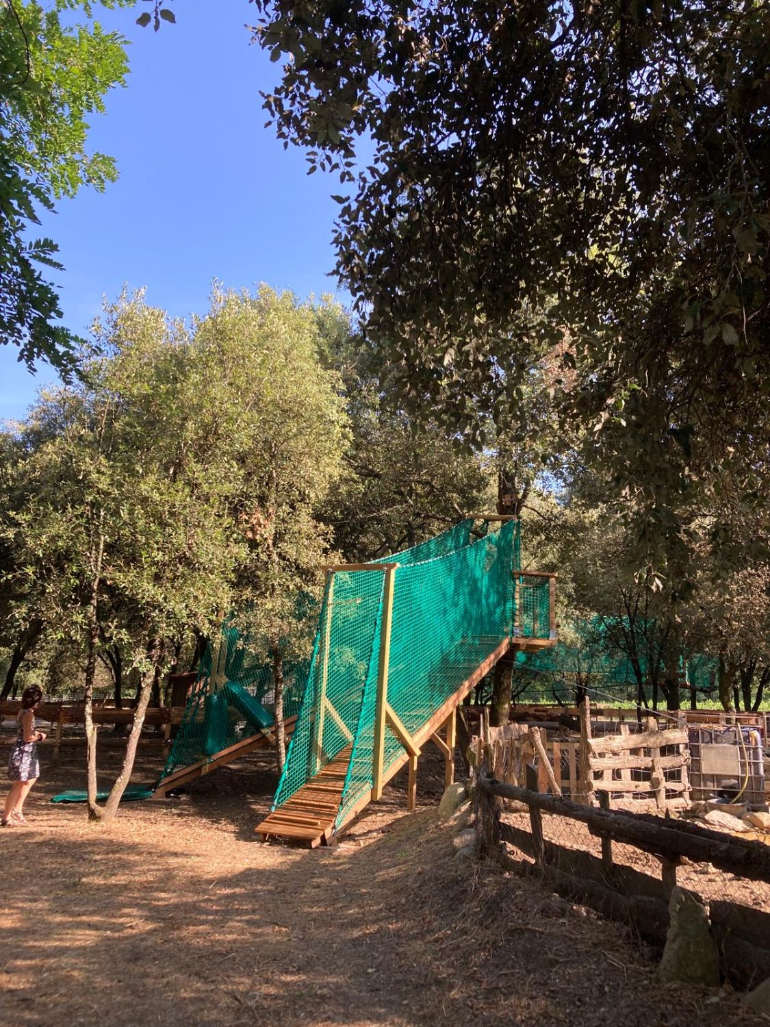 Structure des filets suspendus dans les arbres